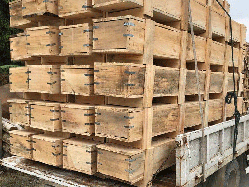 胶合箱，木箱 (22)